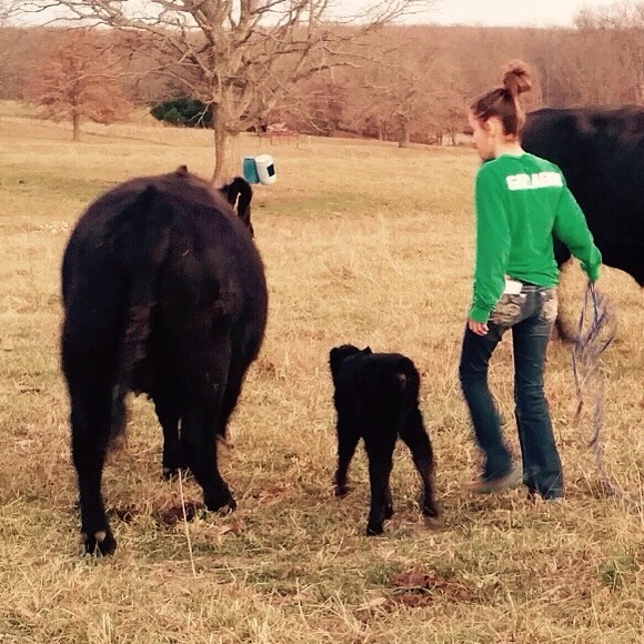 Meet your Posher, Anna - Picture 1 of 1